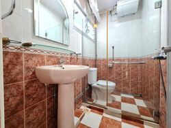 Blk 246 Simei Street 5 (Tampines), HDB 5 Rooms #461097481